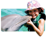 swim with dolphins tours and activities