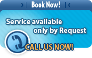 Car rentals service