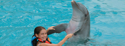 Hawaii-Dolphin Encounter