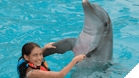 Dolphin Encounter