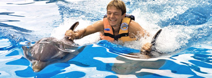 Hawaii-Dolphin Royal Swim