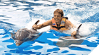 Dolphin Royal Swim