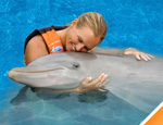 Gallery Dolphin Adventure
