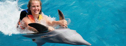 Hawaii-Dolphin Adventure