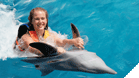Dolphin Adventure