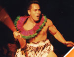 Gallery Sea Life Luau