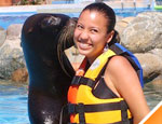 Gallery Sea Lion Discovery