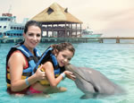 Gallery Dolphin Encounter