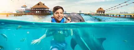 Isla Mujeres-Dolphin Encounter