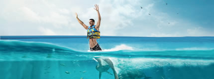 Isla Mujeres-Dolphin Swim Adventure