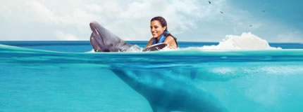Cancun-Dolphin Swim Adventure