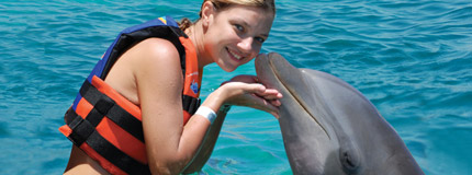 Los Cabos-Dolphin Encounter