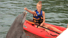 Los Cabos-Dolphin Kayak  tour