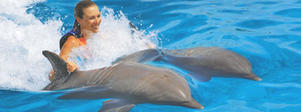 Los Cabos-Dolphin Royal Swim