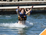 Gallery Whale Watching San Jose + Dolphin Royal Swim Plus
