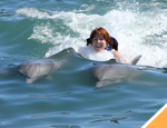 Gallery Whale Watching San Jose + Dolphin Swim Adventure