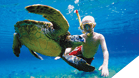 Marine Turtle Observation