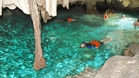 Aktun Chen Swim Adventure + Canopy + Cenote