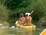 Gallery Jungle Crossing Nohoch