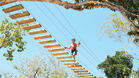 Aktun Chen Canopy + Cave + Cenote