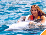 Gallery Dolphin Magic Swim