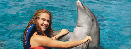 Riviera Maya-Dolphin Encounter