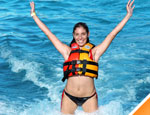 Gallery Dolphin Royal Swim