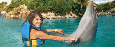Riviera Maya-Dolphin Swim Adventure