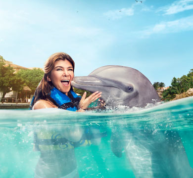 Gallery Dolphin Swim Adventure