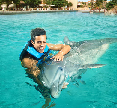 Gallery Dolphin Swim Adventure