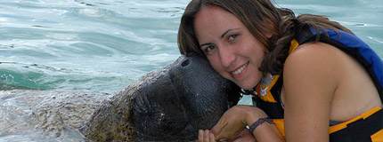 Riviera Maya-Sea Life Circle Manatees
