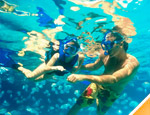 Gallery Xel Ha Essential Shuttle