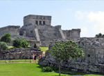 Tulum Express + Dolphin Swim Adventure