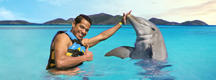 Tortola-Dolphin Royal Swim