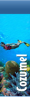cozumel Mexico tours and activities