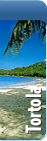 caribbean tortola tours and activities