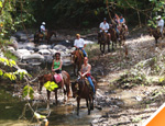 Gallery Horseback Ride