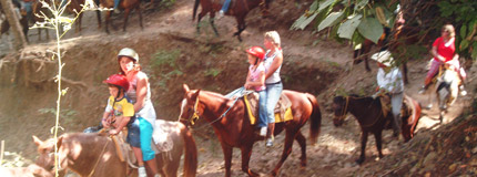Puerto Vallarta-Horseback Ride
