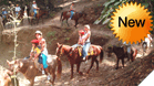 Horseback Ride
