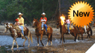 Sunset horseback ride