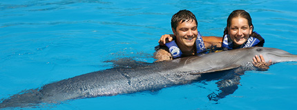 Puerto Vallarta-Dolphin Encounter