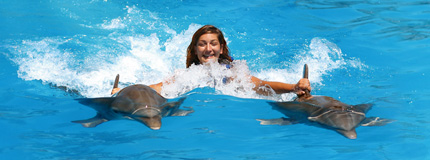 Puerto Vallarta-Dolphin Royal Swim