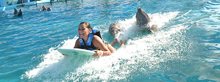 Puerto Vallarta-Dolphin Swim Adventure