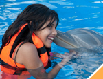 Gallery Whale Watching + Dolphin Encounter