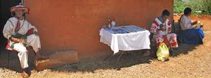 Puerto Vallarta-Huicholes Tour