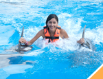 Gallery Whale Watching + Dolphin Royal Swim 