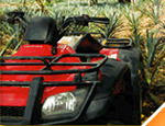 Gallery ATV�S Tour to San Sebastian (Single)