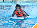 Gallery Whale Watching + Dolphin Swim Adventure