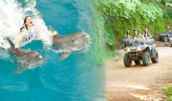 ATV�s Adventure in Nuevo Vallarta (Double) + Dolphin Royal Swim