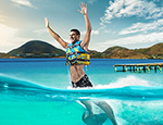 Gallery Dolphin Royal Swim